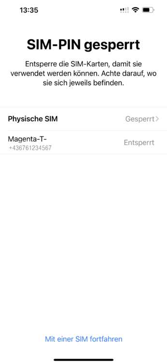 eSIM 3.png
